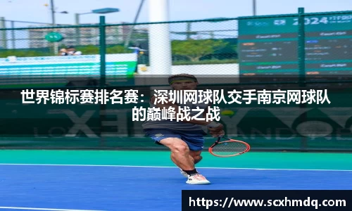 世界锦标赛排名赛：深圳网球队交手南京网球队的巅峰战之战