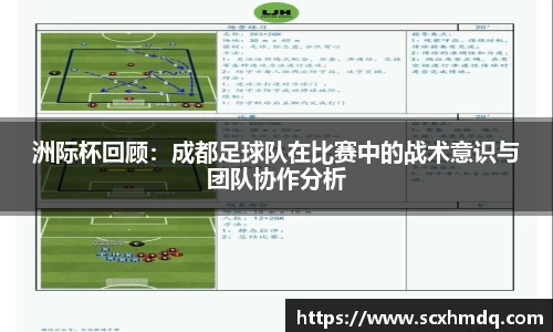 db电竞官网入口