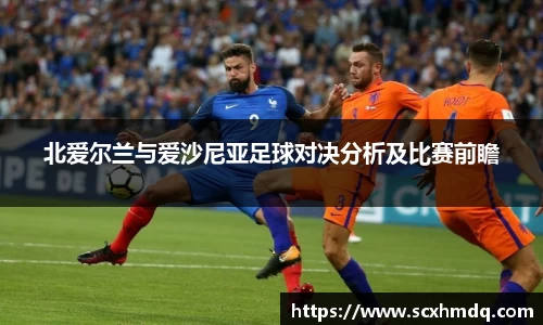 北爱尔兰与爱沙尼亚足球对决分析及比赛前瞻